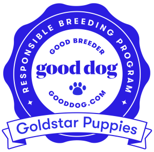 goldstar-puppies-1823176-badge